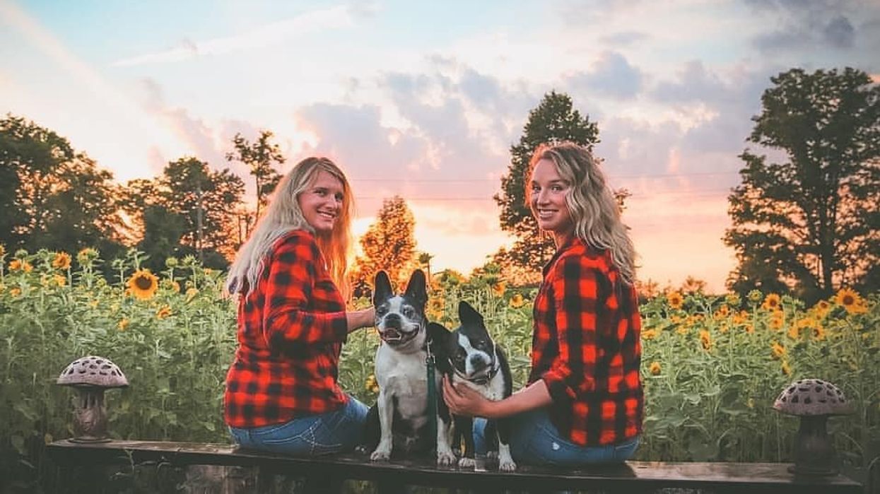Two women sitting on a bench looking back while holding their dogs.